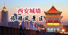 大紫几巴操骚逼中国陕西-西安城墙旅游风景区